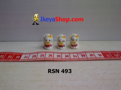 rsn 493  large2